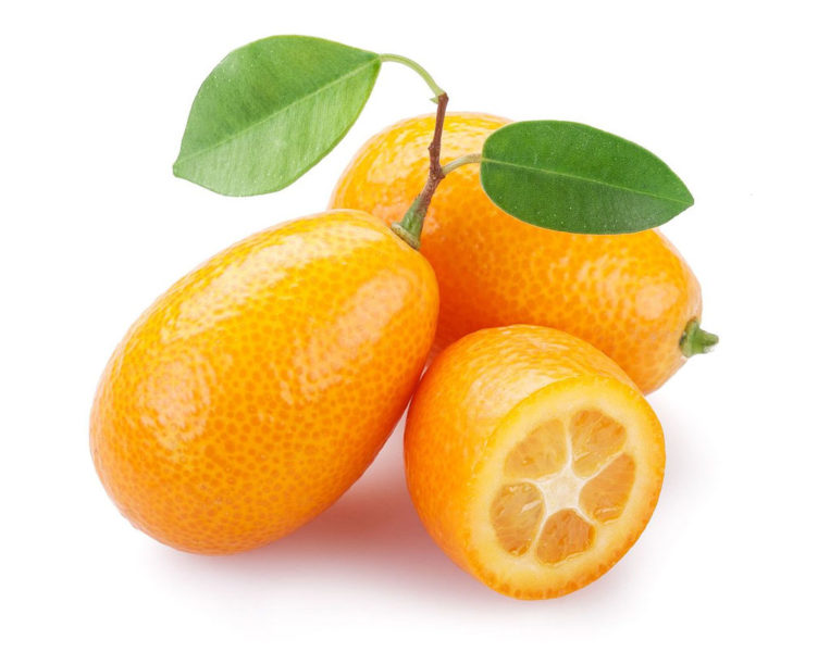 kumquat là quả gì