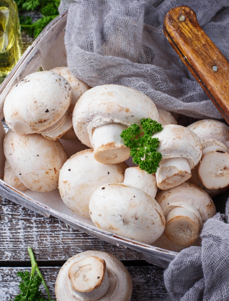 Regeln und Bedingungen für die Lagerung von frischen Pilzen im Kühlschrank